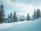 Tranquil winter scene of snow-covered trees in Megève, France amidst the Alps.