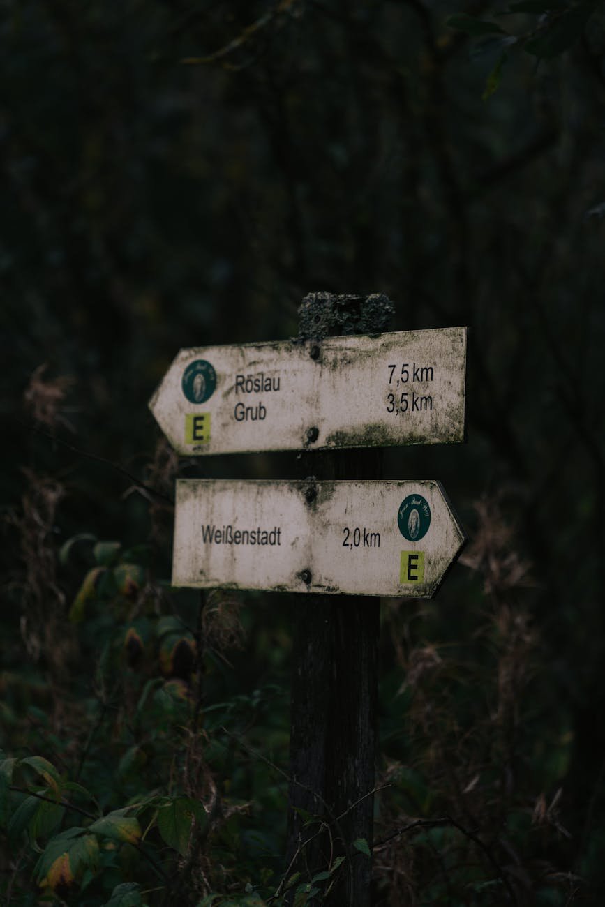 Rustic signpost indicating hiking trails near Weißenstadt, Germany.